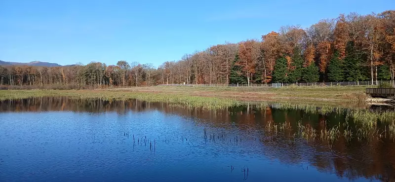 Leisure lake, 4.5 ha near Belfort, Alsace – tourism & recreation — photo 2