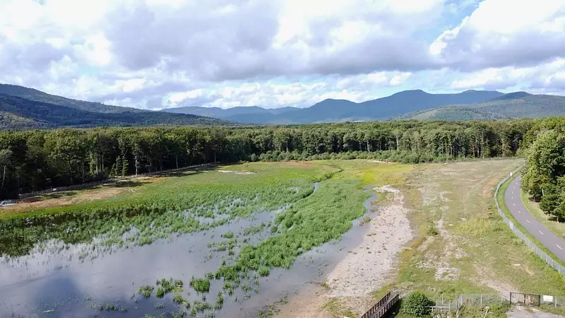 Étang d'agrément à Leval — photo 4