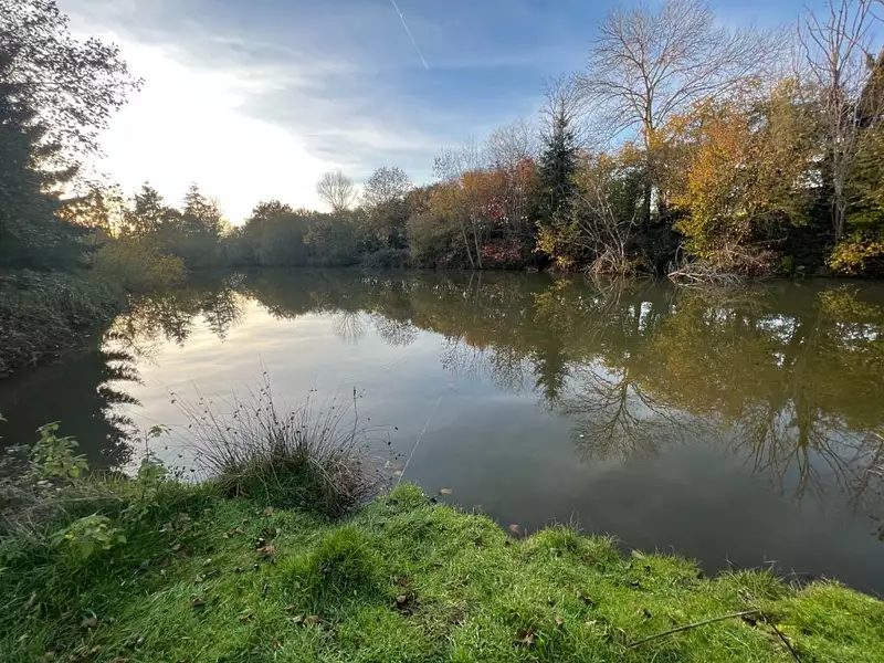 Étang d'agrément à Auxy — photo 3