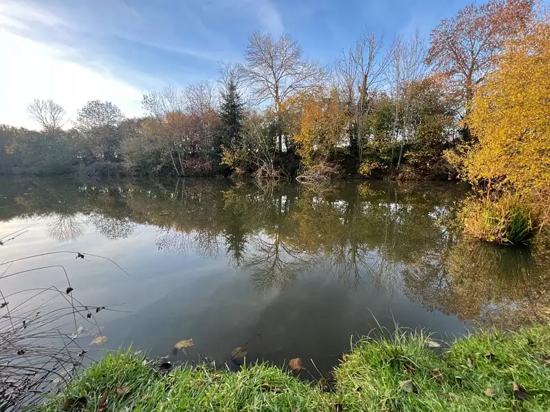 Étang d'agrément à Auxy — photo 4