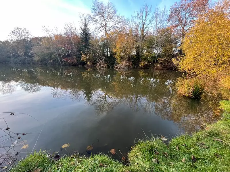 Étang d'agrément à Auxy — photo 4