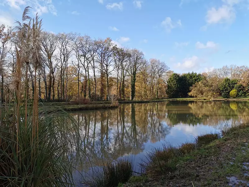 Étang d'agrément à Dingé