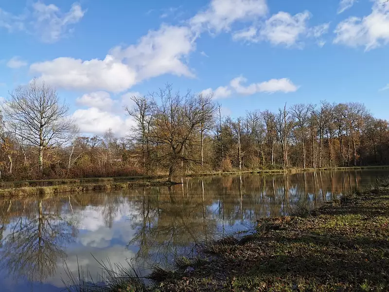 Leisure lake and pond, 4,000 m² with mobile home in Brittany — photo 4