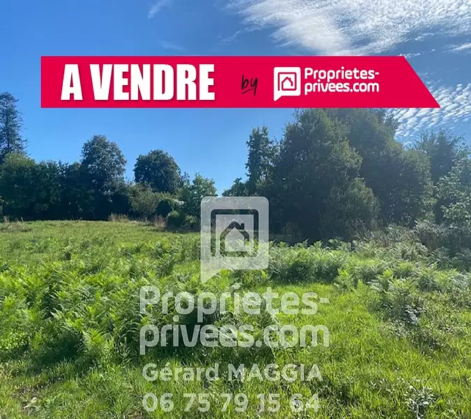 Étang d'agrément à Saint-Guyomard — photo 2