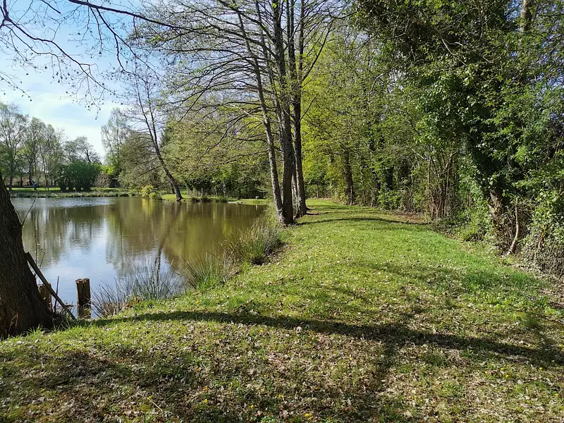 Étang de pêche à Saint-Brieuc-des-Iffs — photo 3