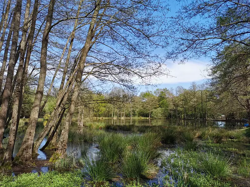 Étang de pêche à Saint-Brieuc-des-Iffs — photo 4