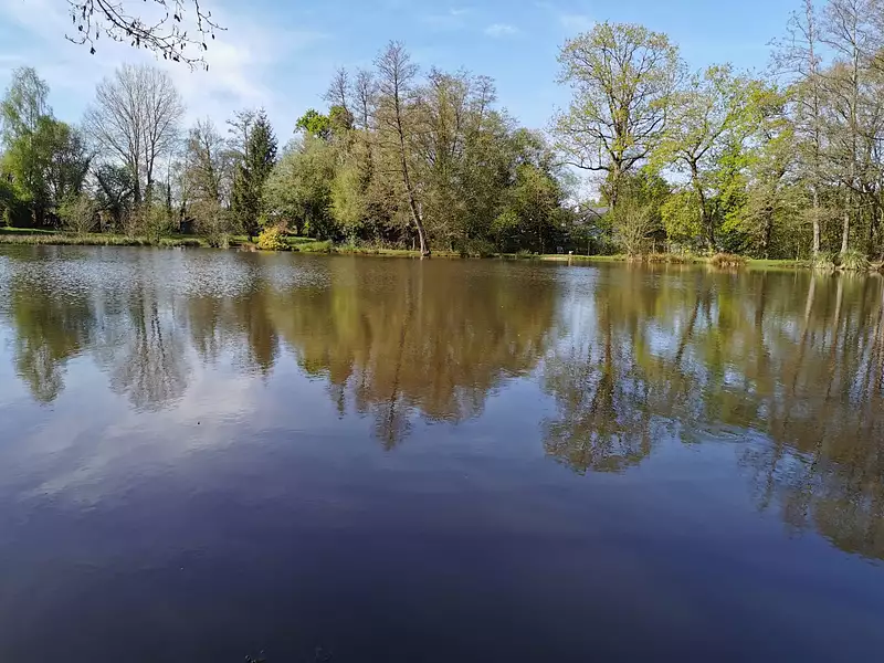 Étang de pêche à Saint-Brieuc-des-Iffs — photo 2