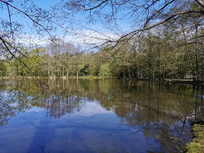 Étang de pêche à Saint-Brieuc-des-Iffs