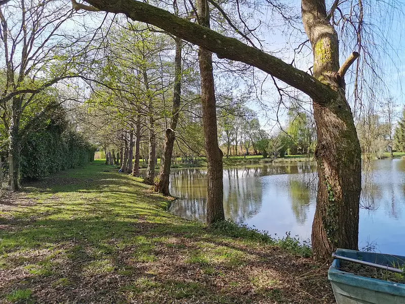 Étang de pêche à Saint-Brieuc-des-Iffs — photo 5