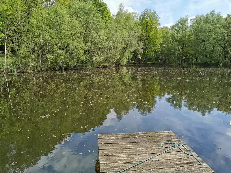 Étang de chasse à Guéhenno — photo 3