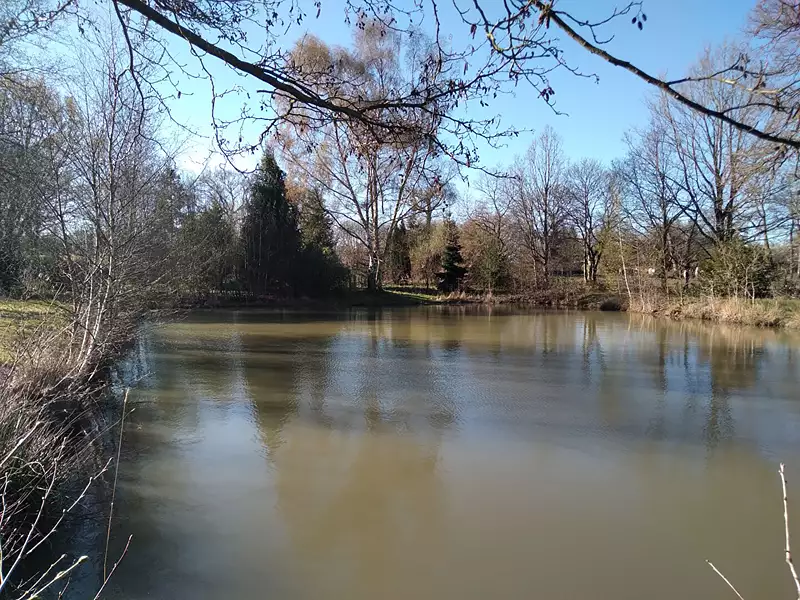 Étang d'agrément à Marcillé-Raoul — photo 2