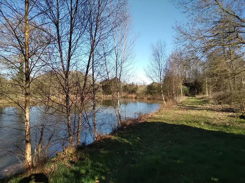 Étang d'agrément à Marcillé-Raoul — photo 4