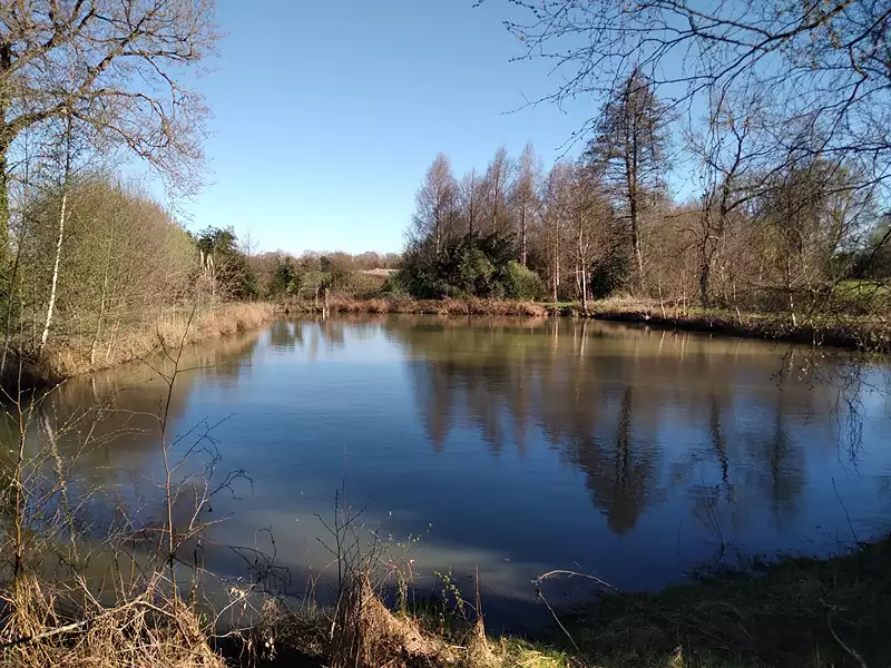 Étang d'agrément à Marcillé-Raoul — photo 3