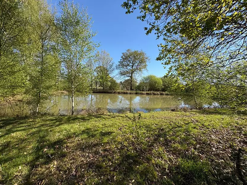 Étang de pêche à Marcillé-Raoul — photo 2