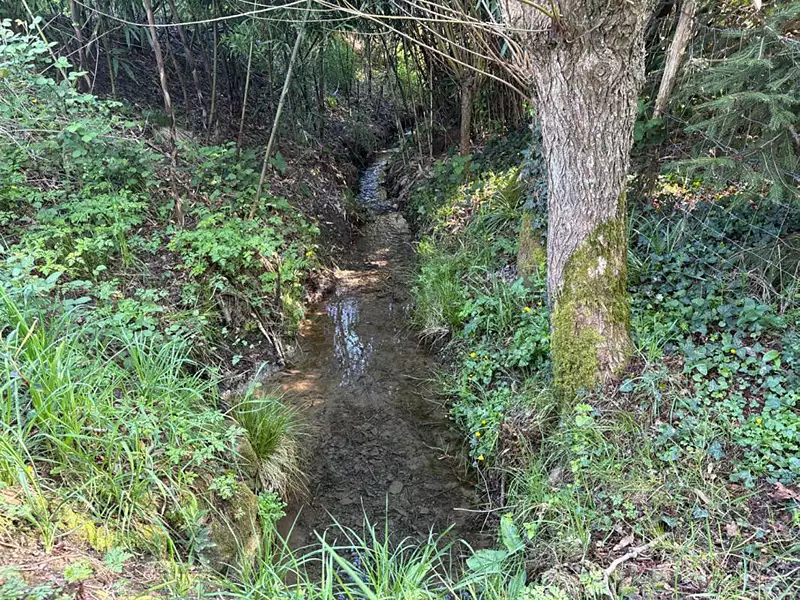 Étang de pêche à Marcillé-Raoul — photo 4