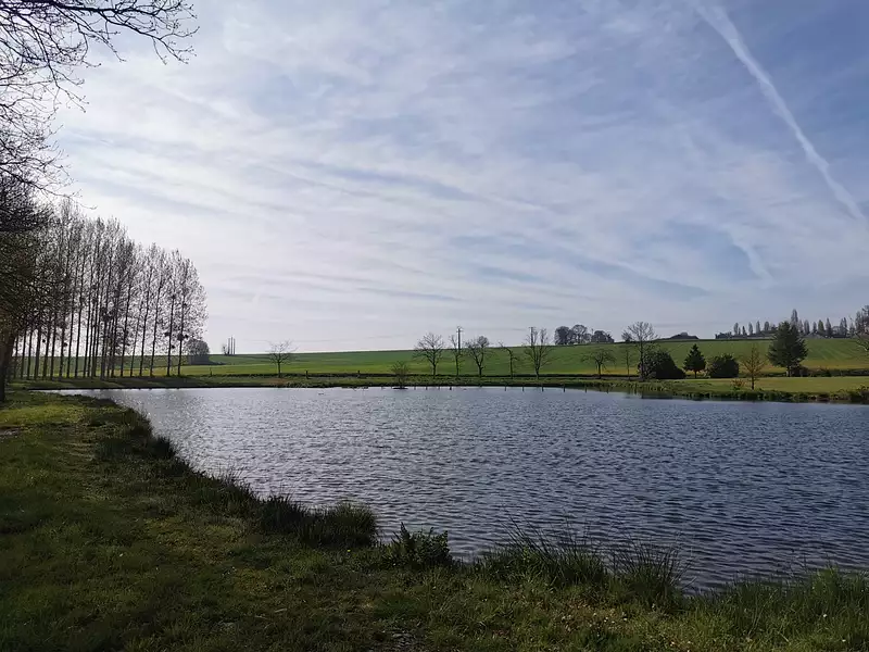 Étang d'agrément à Caulnes — photo 5
