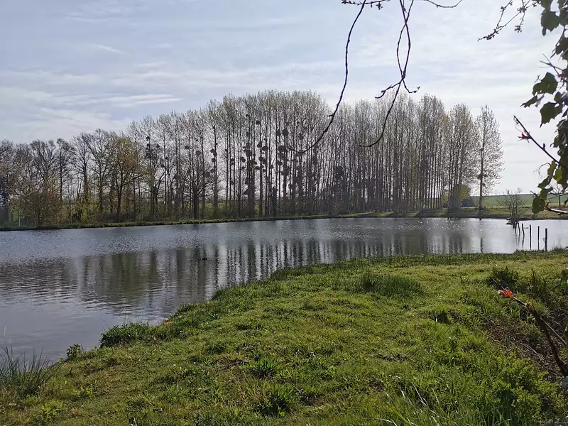 Étang d'agrément à Caulnes — photo 4