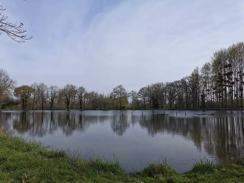 Étang d'agrément à Caulnes — photo 3