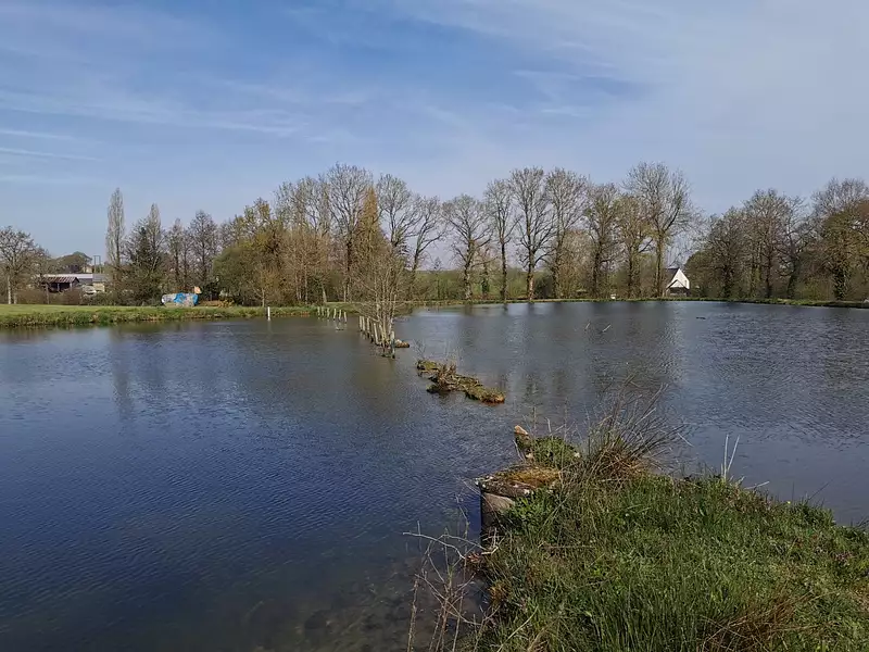 Étang d'agrément à Caulnes — photo 2