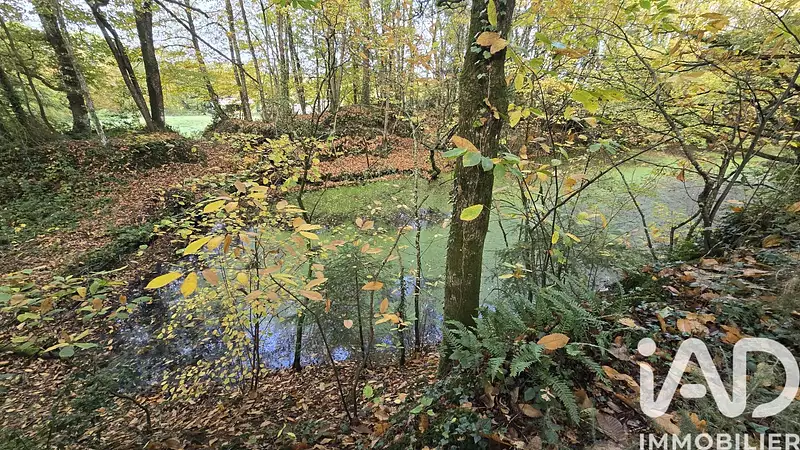 Étang d'agrément à Vieux-Vy-sur-Couesnon
