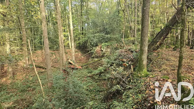 Étang d'agrément à Vieux-Vy-sur-Couesnon — photo 3