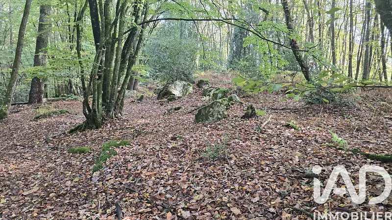 Étang d'agrément à Vieux-Vy-sur-Couesnon — photo 5