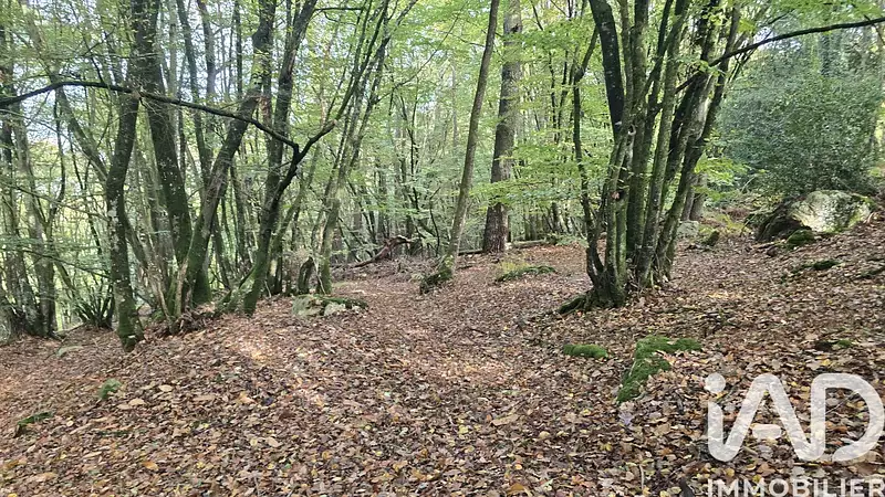 Étang d'agrément à Vieux-Vy-sur-Couesnon — photo 4