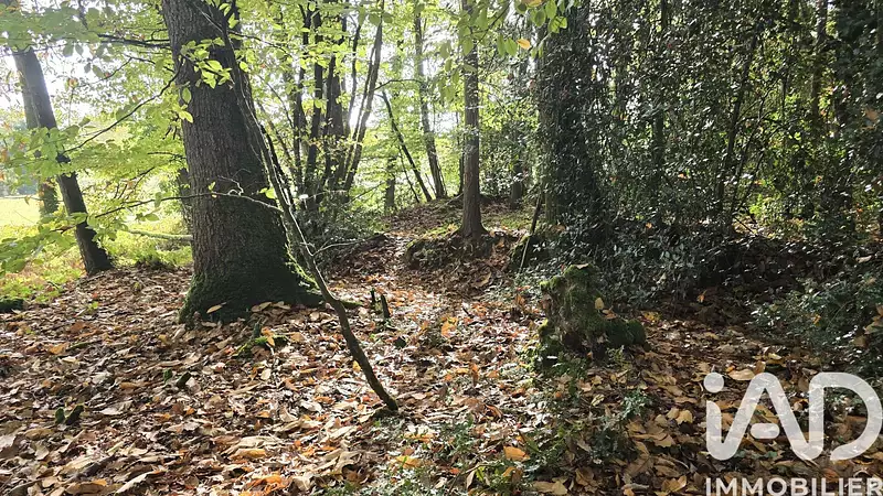 Étang d'agrément à Vieux-Vy-sur-Couesnon — photo 2
