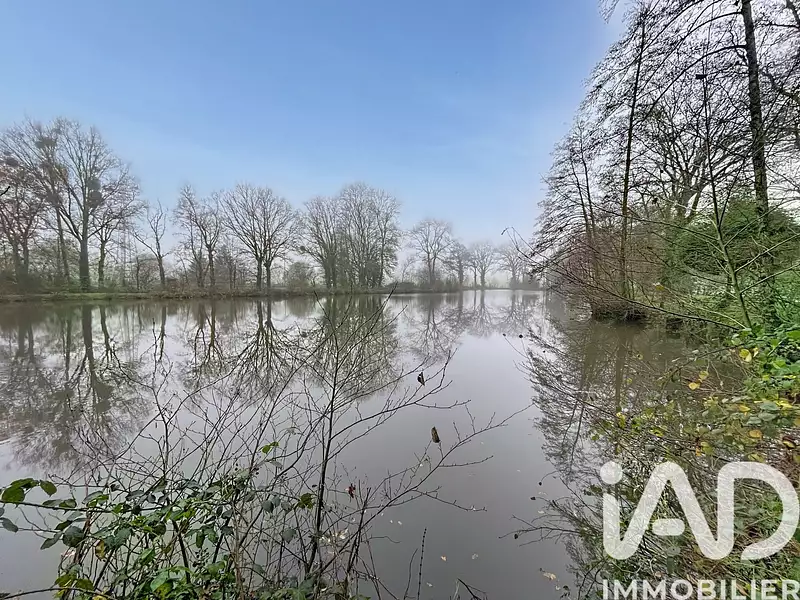 Étang de pêche à Melesse