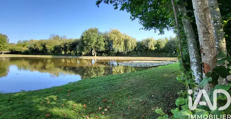 Étang de pêche à Bourgbarré — photo 4