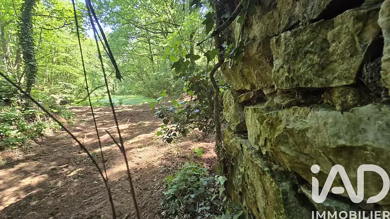 Étang d'agrément à Vieux-Vy-sur-Couesnon — photo 2