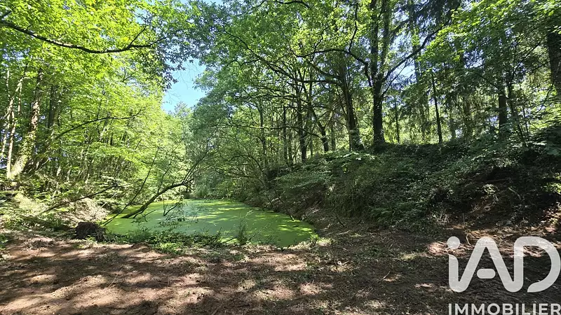 Étang d'agrément à Vieux-Vy-sur-Couesnon