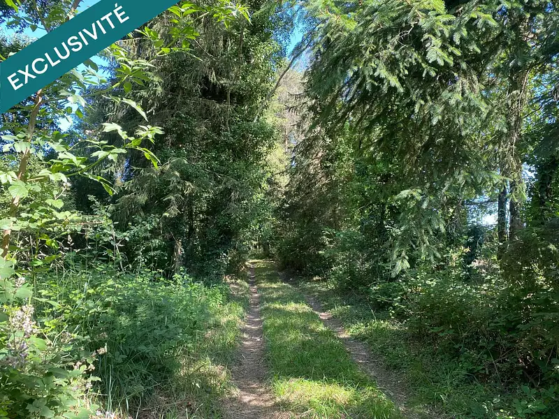 Étang d'agrément à Langon — photo 3