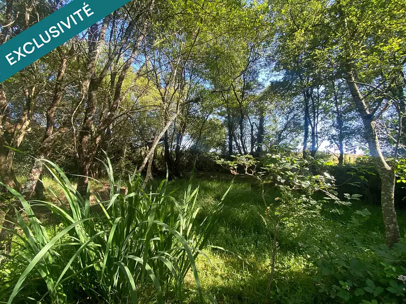 Étang d'agrément à Langon — photo 4