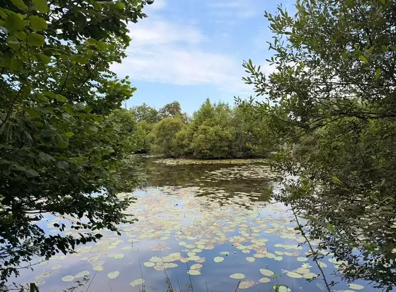 Étang d'agrément à Saint-Congard