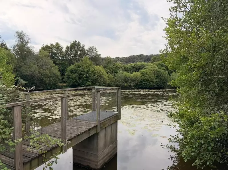 Étang d'agrément à Saint-Congard — photo 3
