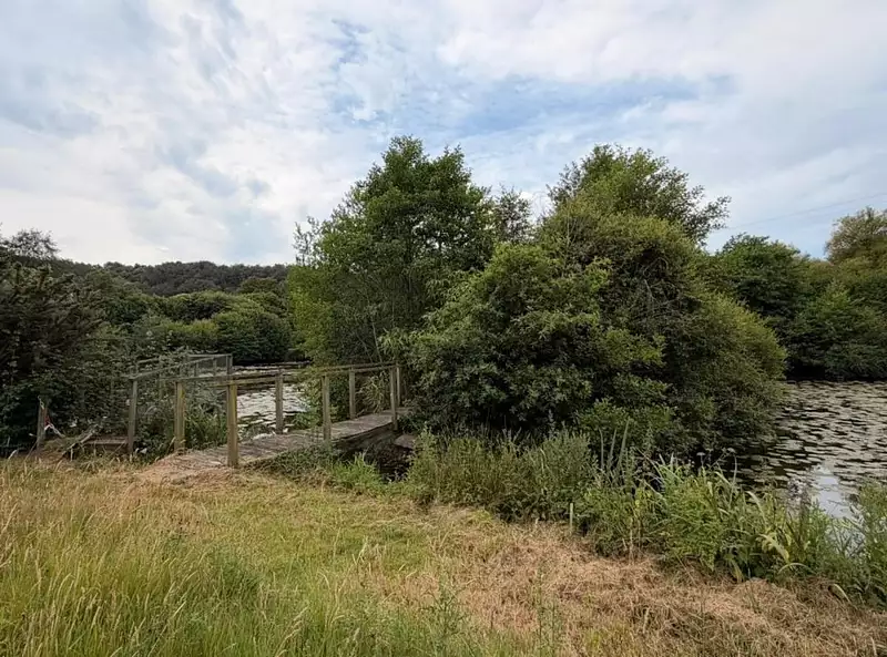 Étang d'agrément à Saint-Congard — photo 5