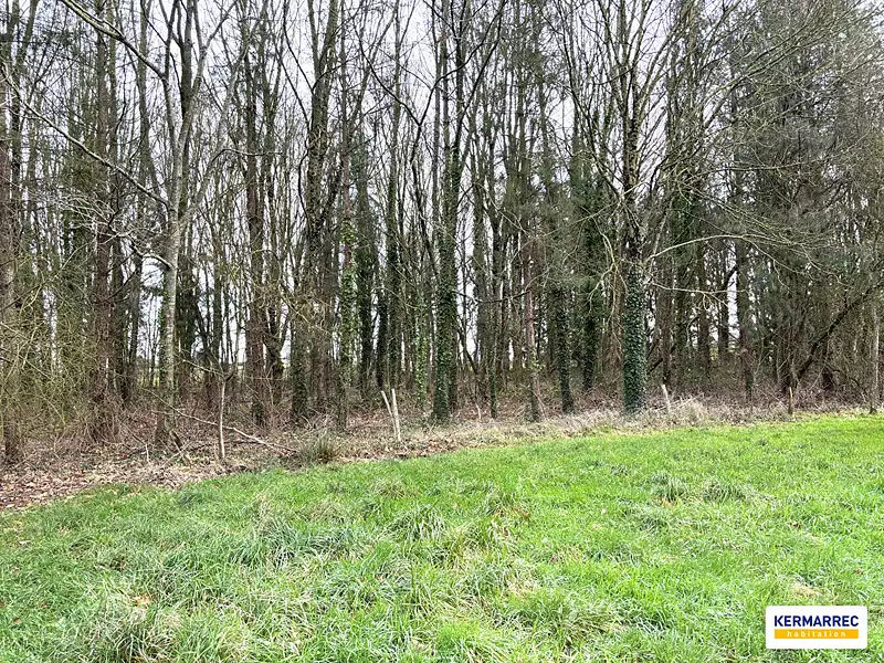 Étang d'agrément à Vitré