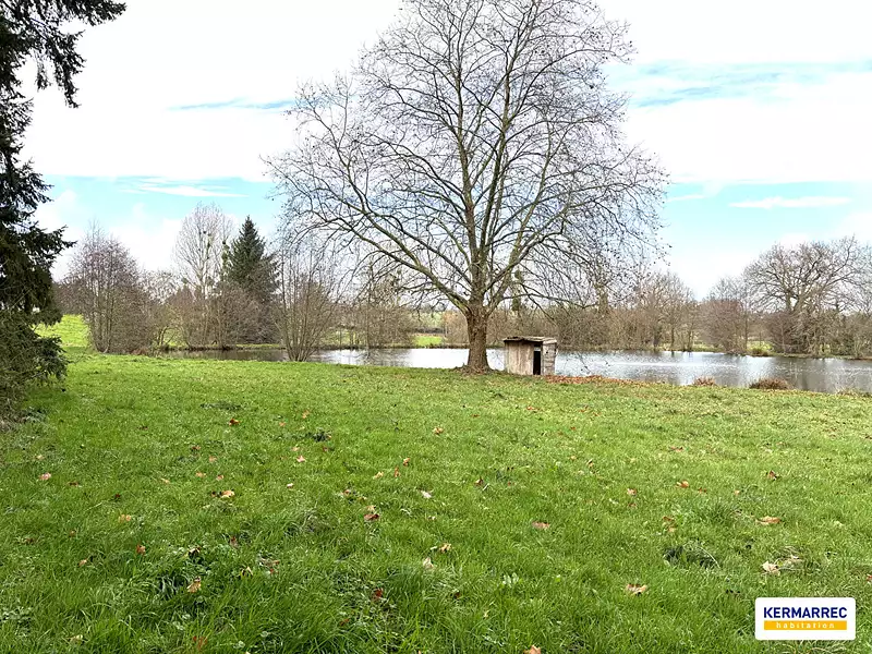 Étang d'agrément à Vitré — photo 2