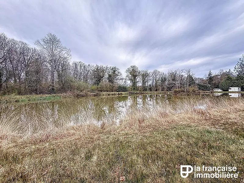 Leisure lake, 0.28 ha in Brittany — photo 5