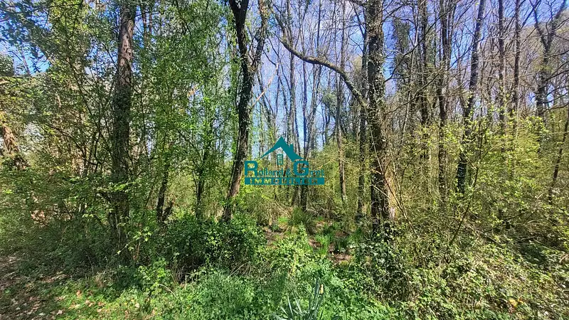 Étang d'agrément à Sens-de-Bretagne — photo 4