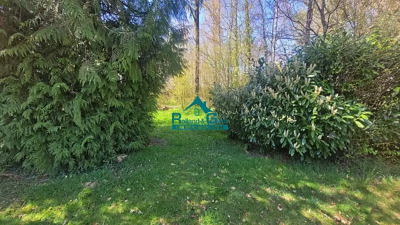 Étang d'agrément à Sens-de-Bretagne — photo 5
