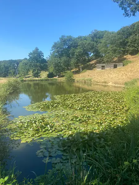 Étang d'agrément à Champeaux