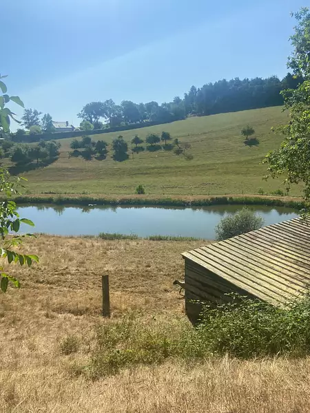 Étang d'agrément à Champeaux — photo 5
