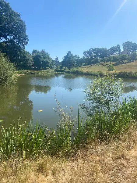 Étang d'agrément à Champeaux — photo 3