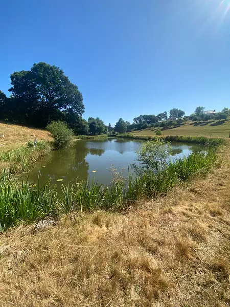 Étang d'agrément à Champeaux — photo 4
