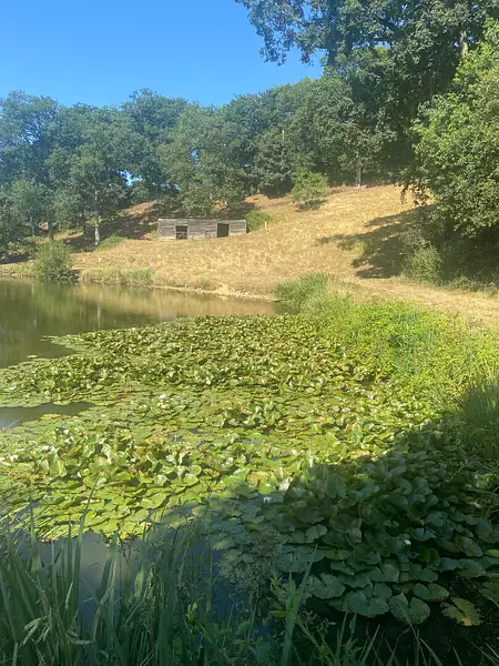 Étang d'agrément à Champeaux — photo 2