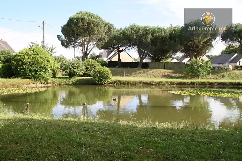 Étang d'agrément à Guégon — photo 2