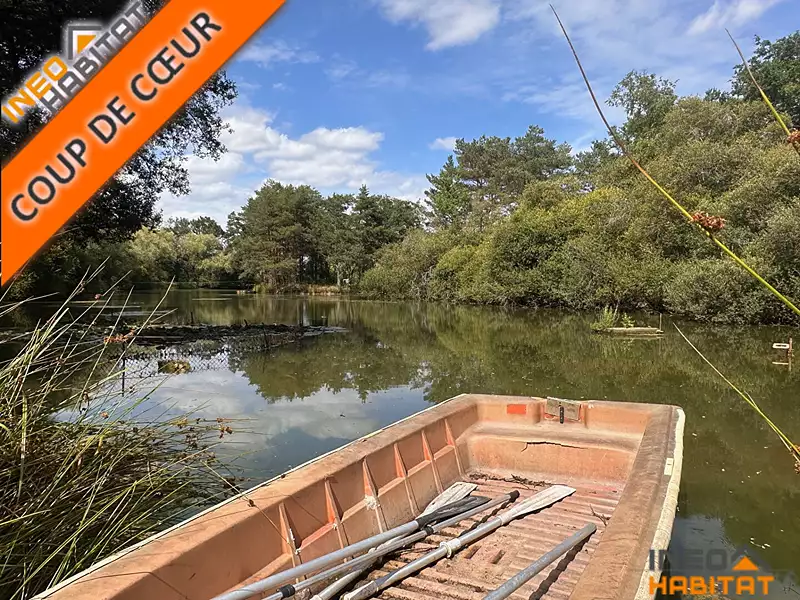 Étang de pêche de 1,4 ha à Pont-Péan — photo 2