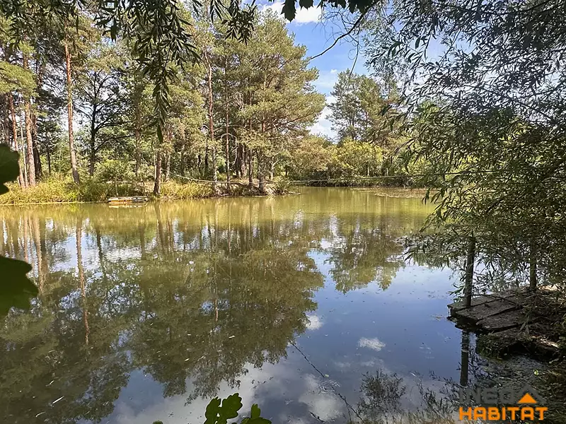 Étang de pêche de 1,4 ha à Pont-Péan